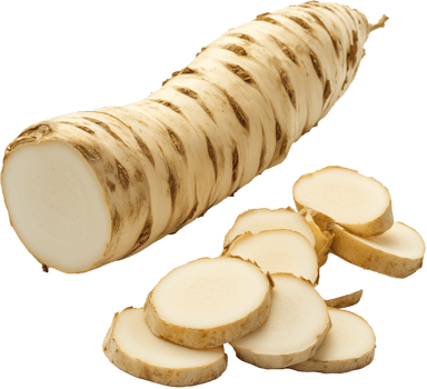 Horseradish Root Isolated on White Background png
