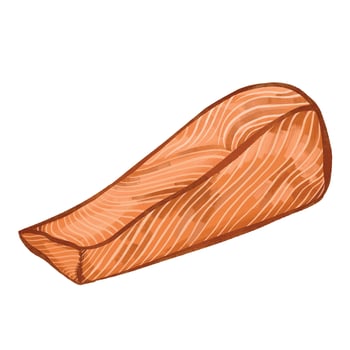 One piece of baked salmon fillet meat illustration isolated on square white background. Colorful illustration with cartoon art styled drawing. vector