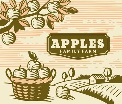 Apple garden on farm. Village and fruit harvest vector