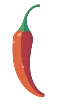 A red chili pepper on a white background vector