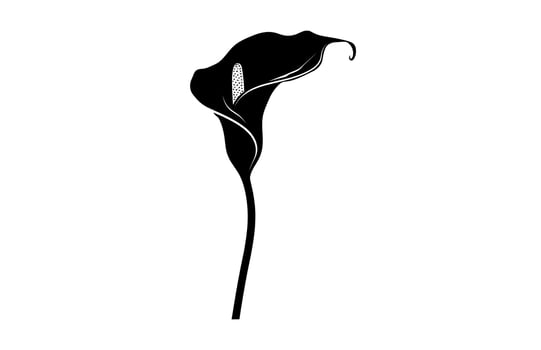 Calla Lily Black Silhouette Clipart vector