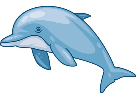 cute dolphin ocean animal png