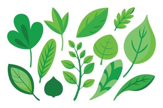 Various green leaves illustration set on white background vector