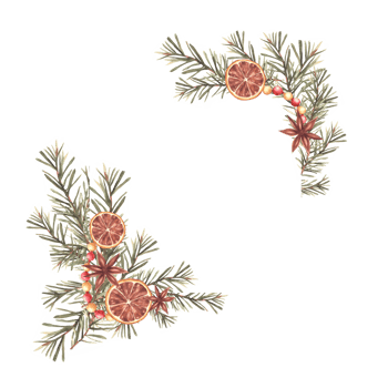 Christmas frame. Spruce tree branches old fashioned with Garland, dried fruits and spices. Watercolor snow flakes. Traditional decor, Xmas vintage template painted illustration on Isolated background png