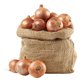 Raw fresh onions in burlap bag isolated on transparent background png