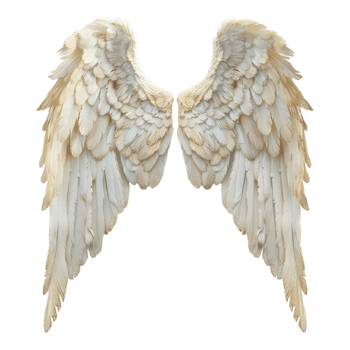 Realistic angel wings isolated on transparent background png