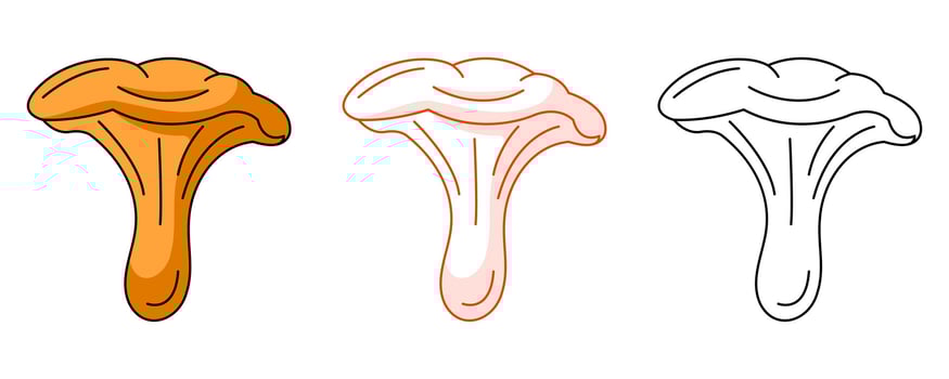 Chanterelle mushroom, colorful and line icon set. Fall or summer icon of forest harvest food. Flat outline icon, monochrome red and color illustration. For logo, sticker, coloring book, label vector