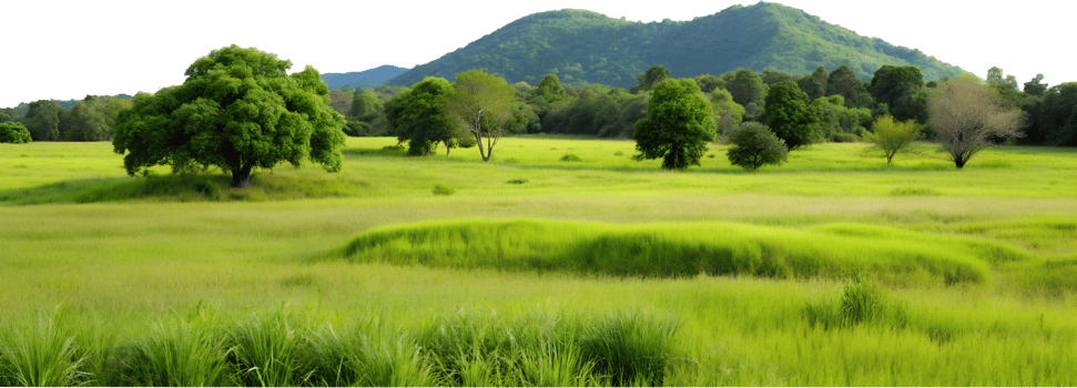 Tranquil green hills with lush grass, isolated against transparent background png