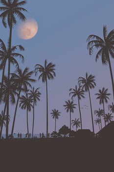 Silhouetted coconut palm trees at the beach with half moon and twilight sky vertical background fade condition graphic illustration. vector