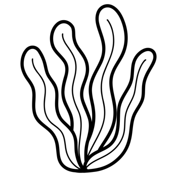 Ocean seaweed doodle png