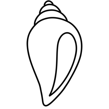 Cute sea shell png