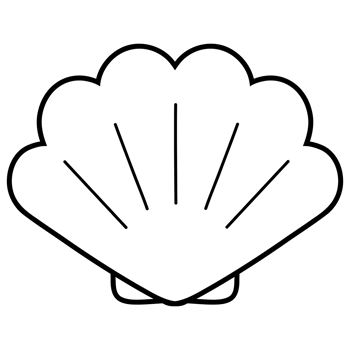 Sea shell doodle png