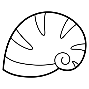 Sea shell doodle png