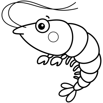 Cute shrimp doodle png