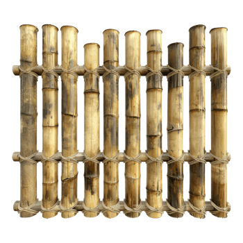 Bamboo fence isolated on transparent background. png