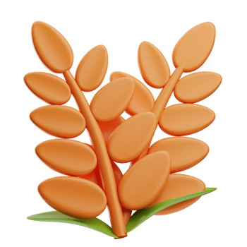 Wheat oktoberfest object illustration 3D png