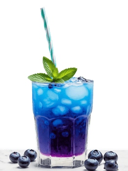Idaho Huckleberry Lemonade Stand Tall glass with lemonade huckleberries and sprig of mint served at png