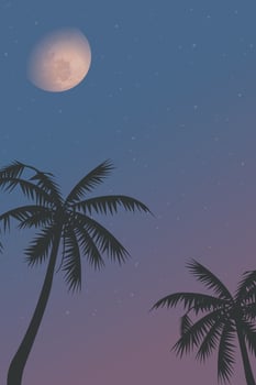 Silhouetted coconut palm trees with half moon and twilight sky vertical background graphic illustration have blank space. vector