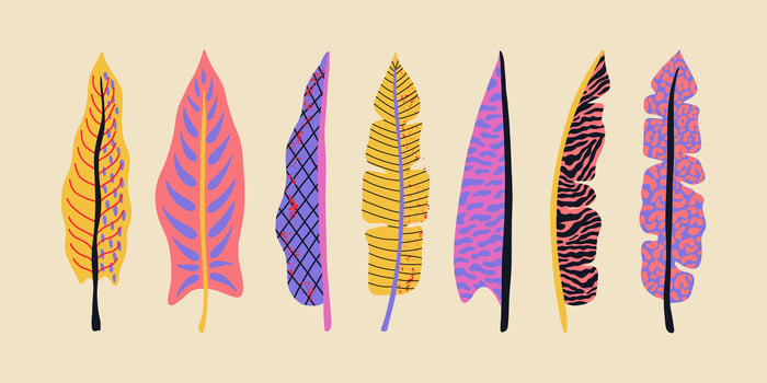 Collection groovy tropical leaves. Hawaiian palm and banana leaves. Texture tiger, zebra, leopard. Botanical elements vector