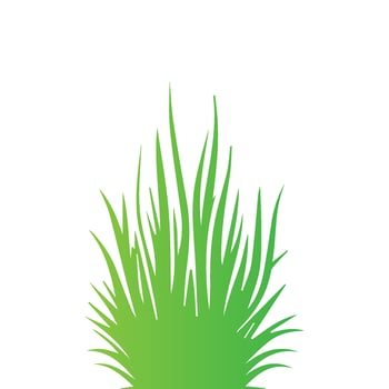 illustrations in flat style. green leaf. Grass vector