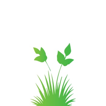 Green grass. Nature illustration, land ecosystem grass. vector