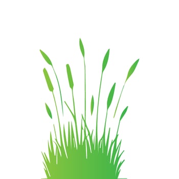 grass designs isolated on white background vector