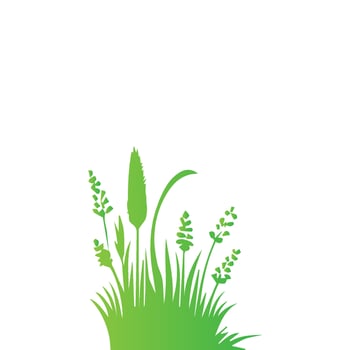 Green grass and plants vector