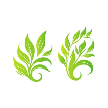 Green leaves illustration vector