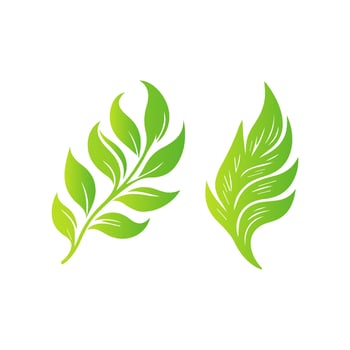 Two green leaves on a white background vector