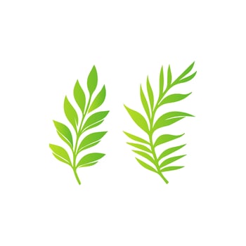 Botanical Green Leaf Artwork vector