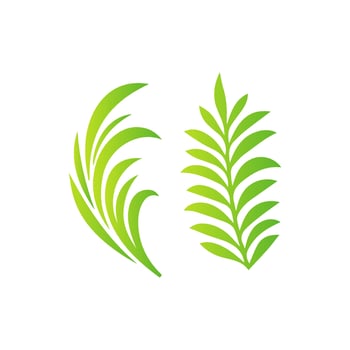 Stylish Green Leaf Graphic vector