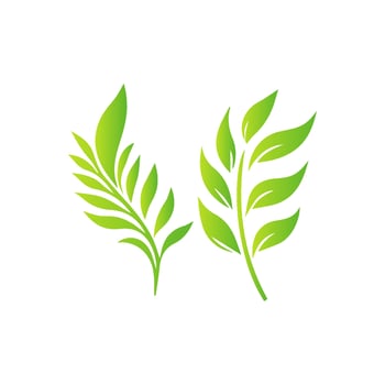 Plant logo icon, Flat green leaves vector