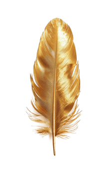 Gold feather quill isolated on transparent background cutout png
