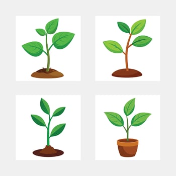 Four Growing Plants Seedlings, Sprout, Potted Plant, Nature vector