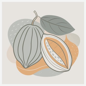 Stunning Baraco Fruit Illustration vector