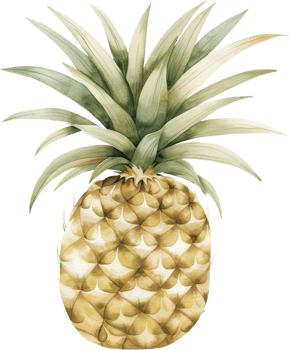 Beautifully Detailed Watercolor Pineapple Illustration png