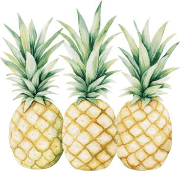 Trio of Vibrant Pineapples in a Watercolor Art Style png