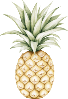 A Lush and Vibrant Pineapple Illustration in Subtle Watercolors png