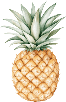 Vibrant Watercolor Painting of a Fresh Pineapple with Lush Green Leaves png