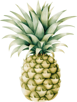 Detailed Illustration of a Pineapple with Realistic Texture png