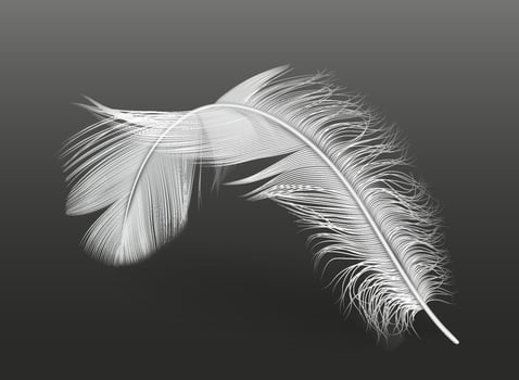 Flying white single plume practical outline on dark foundation. Delicate drifting plume 3d plan component. Bended feathered creature plumage portion picture vector