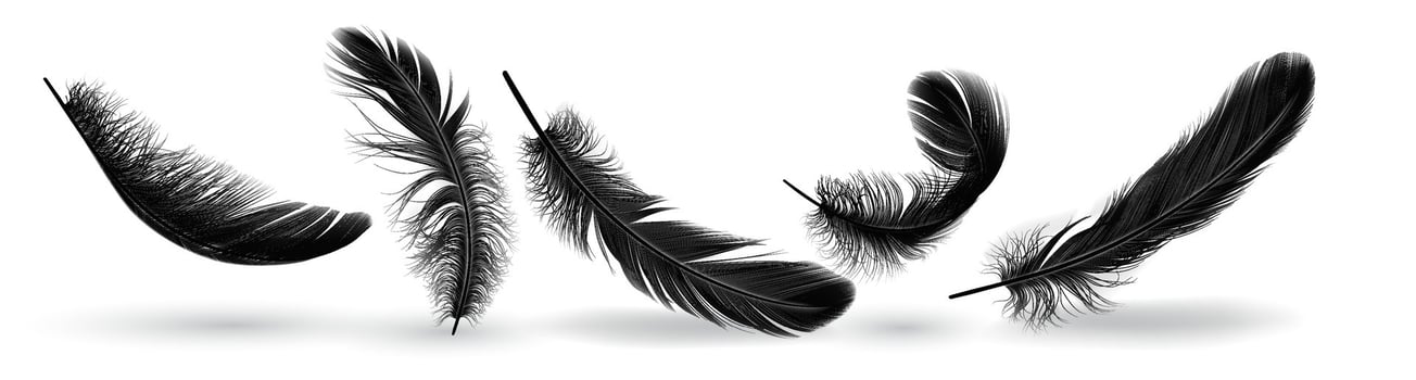 Fowl quill shapes gather practical outline set. Flying plumage with untidy surface. Soft dark plumes 3d components on white foundation vector