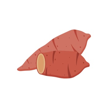 illustration of red sweet potatoes over white vector