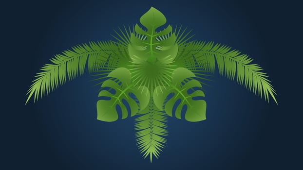 Pattern of palm leaves on dark backgrond vector