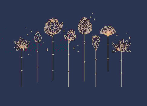 Flowers long stem drawing in art deco style on blue background vector