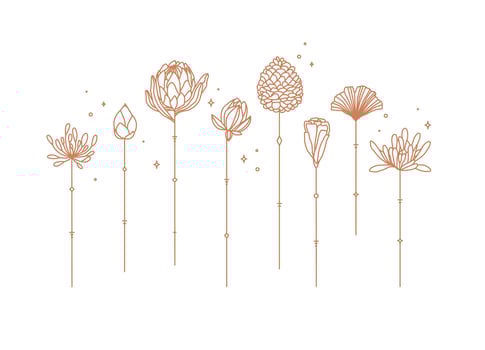 Flowers long stem drawing in art deco style vector