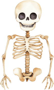 Cute Watercolor Skeleton Smiling with Big Black Eyes png