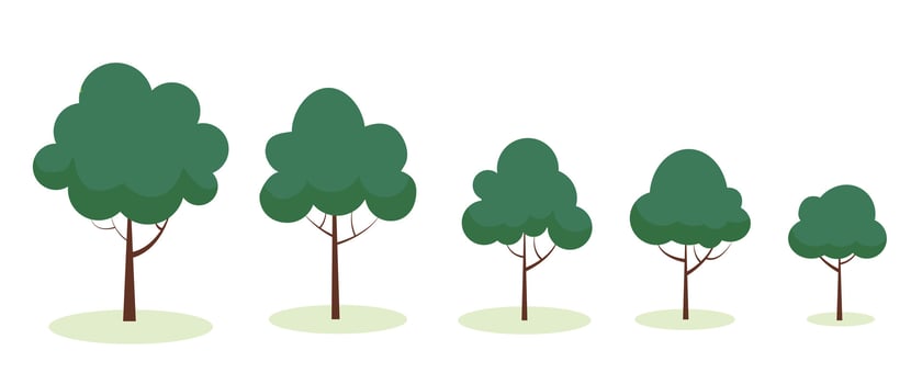 Illustration of trees showing growth stages in a peaceful green landscape vector