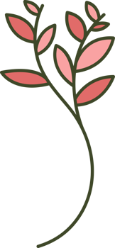 Japanese maple or redbud trees leaves png