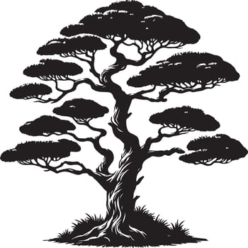 Juniper Tree , black color silhouette vector